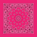 Standard Neon Hot Pink Paisley Bandanna